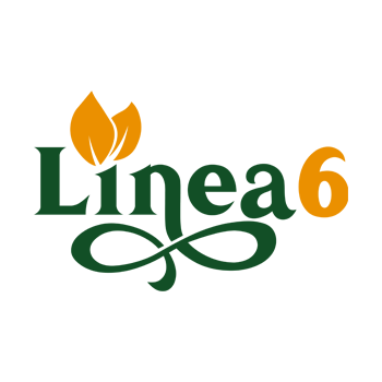 Linea 6